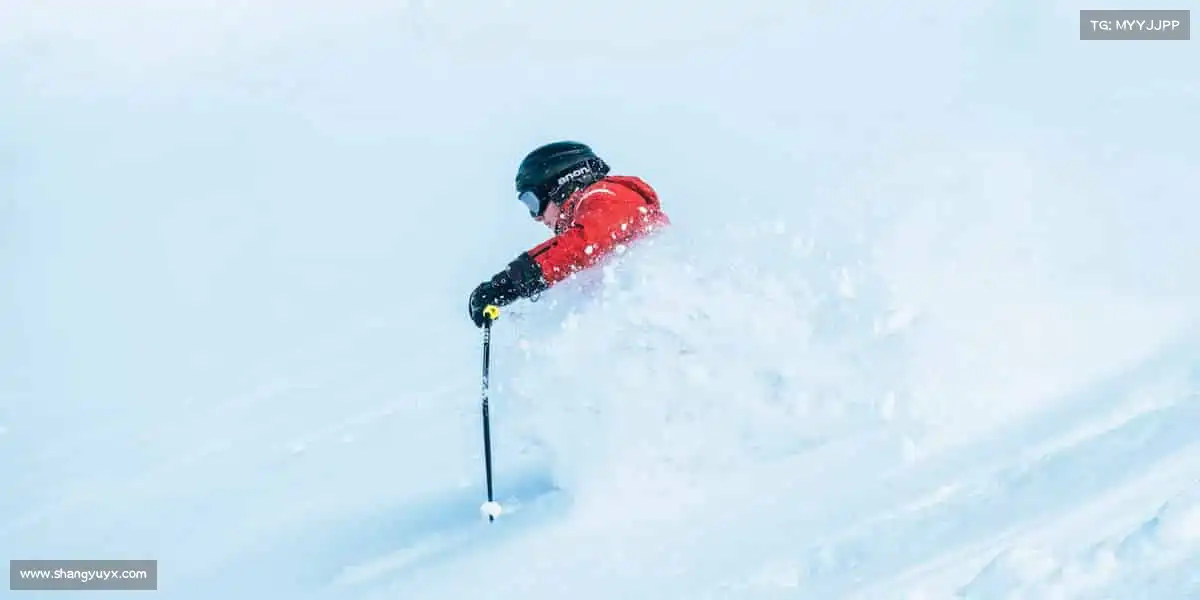 行业领先的理由